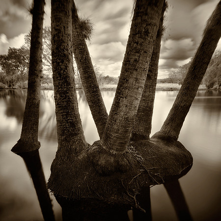 10 Summer Flood